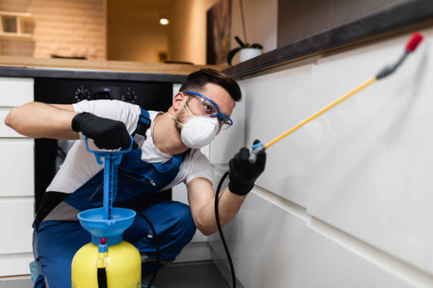 Best Emergency Pest Control  in Braddock Hills, PA
