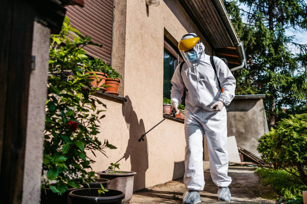 Best Flea Control Services  in Braddock Hills, PA
