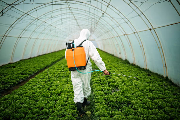 Best Pest Removal Services  in Braddock Hills, PA