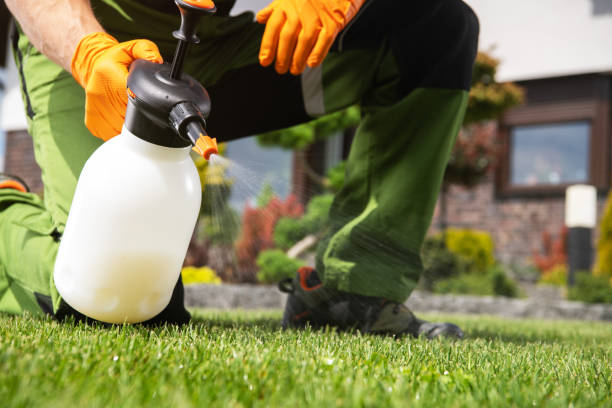 Best Insect Control  in Braddock Hills, PA