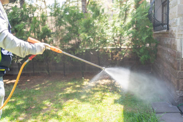 Best Affordable Pest Control Services  in Braddock Hills, PA