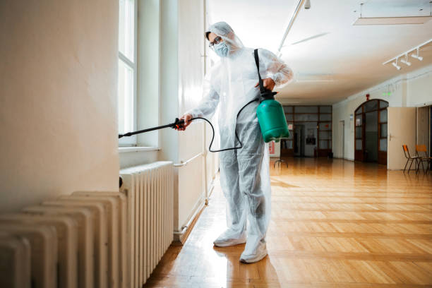Best Cockroach Control Services  in Braddock Hills, PA